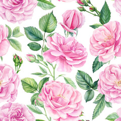 Floral seamless patterns from Rose, buds, leaves. Watercolor painting, Flowers background