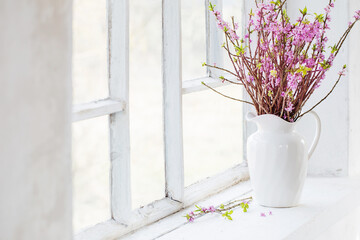 daphne flowers in vase on vintage windowsill