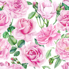 Floral seamless patterns from branches of roses, buds on an isolated background. Watercolor painting