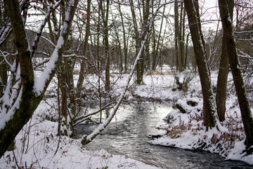 Landscape shots in the Bavarian Forest in Bavaria in daylight