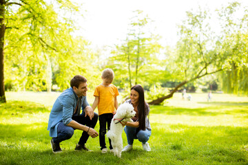 Fototapeta premium Beautiful happy family is having fun with bichon dog outdoors