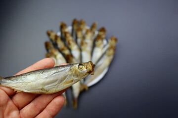 Smoked sprat in a female hand on a blurred gray background.