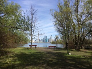 Obraz premium Empty benches facing skyline of downtown Toronto. Toronto islands, Ontario, Canada. 