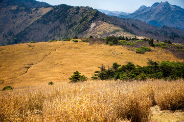 Qinling Mountain