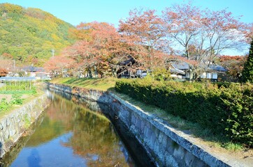 Fototapeta premium 龍岡城 五稜郭
