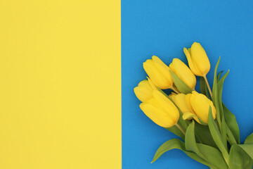 bouquet of yellow tulips on blue background, copy space