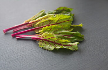 Coloured leaves of beet, Beta vulgaris, beetroot, edible and medicinal plant