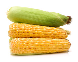 corn on the cob