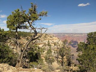 Fototapeta na wymiar the beautiful view from the Hermit Road on the South Rim of the Grand Canyon National Park in Arizona in the month of October, USA