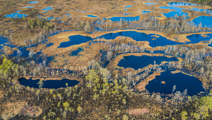 Aerial shot of beautiful Karula National Park full of lakes in Estonia