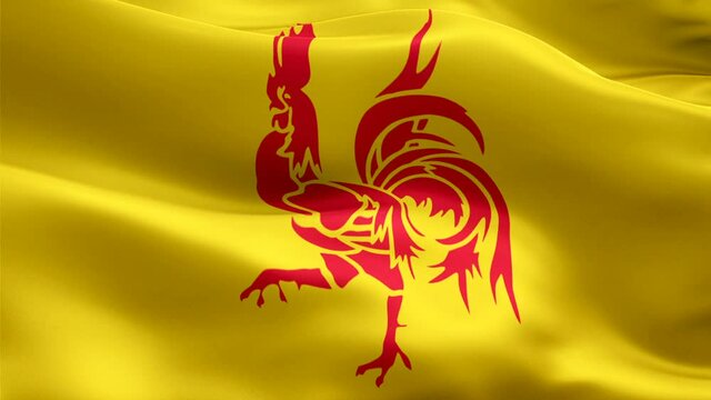 Wallonia Community flag Closeup 1080p Full HD 1920X1080 footage video waving in wind. French&lrm; 3d Wallonia Community flag waving. Sign of Walloons seamless loop animation. Belgium Wallonia Community fl