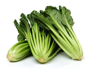 Obraz premium Fresh harvested Tah Tsai lettuce isolated on white. Tah Tsai or (Tatsoi) a commly used green leaf vegetable in Chinese and oriental dishes.