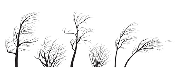 Silhouette Set of Trees and Bushes Without Leaves in Wind