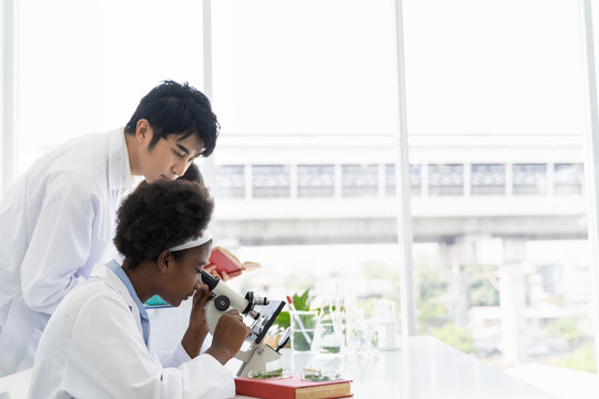 Asian teacher and diverse student doing tests of plants in classroom. Group of diversity scientists learning science and doing analysis for germs and bacteria with microscope in the laboratory