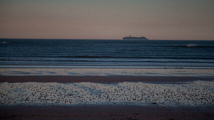 ocean z ptakami kamienista plaza i statkiem © Jaroslaw