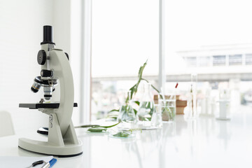 Tests of plants in laboratory. Glasswares and microscope in classroom or laboratory. Science and education. Scientific experiment, Researcher, Research concept