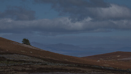 jesienna kompozycja gorska