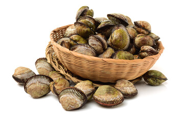 Clams on white background