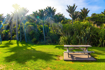 Table for a picnic