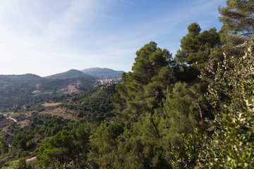 Landscape with the View of the city of Sant Feliu de Codinas in the back as seen from the woods nearby. Sunny day and green pine trees in the park in Catalonia, Spain