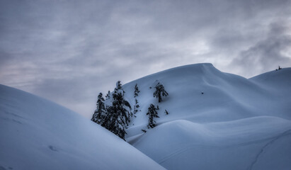 Panoramic View of Canadian Nature Landscape covered in fresh white Snow during winter sunset. Taken...