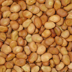  Pile of broad beans, background