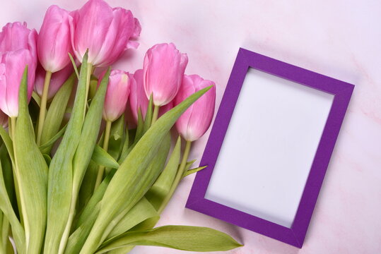 Purple tulips, purple photo frame, copy space
