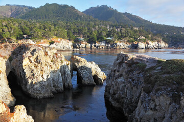 Reserve Point Lobos on the sunset