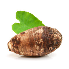Taro on white background
