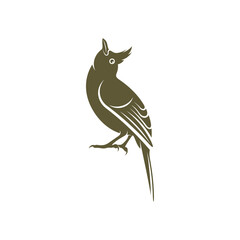 Fototapeta premium Himalayan Bulbul bird design vector illustration, Creative Himalayan Bulbul bird logo design concepts template, icon symbol