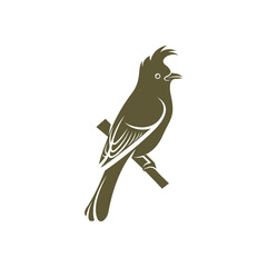 Himalayan Bulbul bird design vector illustration, Creative Himalayan Bulbul bird logo design concepts template, icon symbol