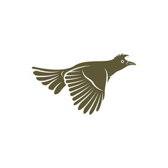 Himalayan Bulbul bird design vector illustration, Creative Himalayan Bulbul bird logo design concepts template, icon symbol