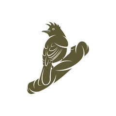 Himalayan Bulbul bird design vector illustration, Creative Himalayan Bulbul bird logo design concepts template, icon symbol
