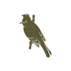 Himalayan Bulbul bird design vector illustration, Creative Himalayan Bulbul bird logo design concepts template, icon symbol