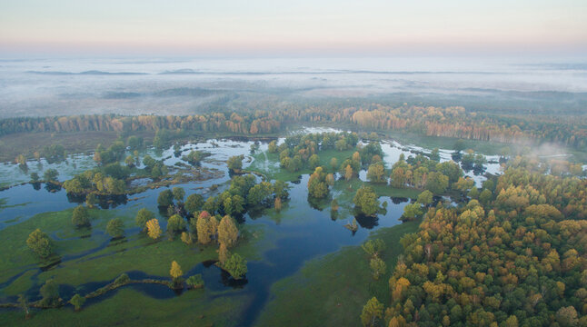 Aerial shot of beautiful Karula National Park full of lakes in Estonia on a foggy morning