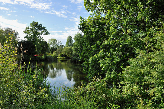 Dulwich Park and lake in South London, UK, in summertime
