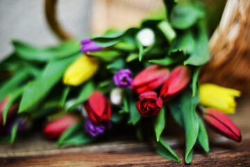 Floral background, greeting card, harvesting, mocap for greetings for mother's day, international women's day: bouquet of colorful tulips in basket on wooden background, copyspace