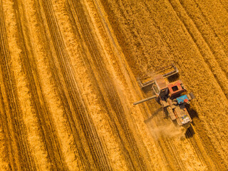 Harvesting machine working in the field. Top view from the drone Combine harvester agricultural...