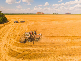 Aerial view of summer harvest. Combine harvester harvesting large field.
