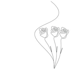 Roses flowers background, vector illustration