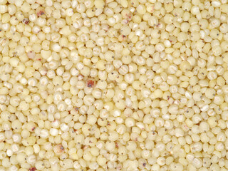 Job's tears background