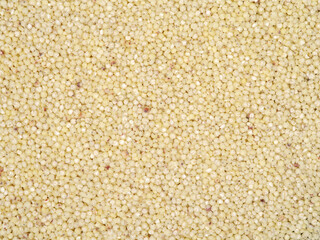 Job's tears background