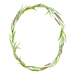 Floral realistic grass wreath. Watercolor hand drawn illustration. Botanical wreath from meadow flowers. Grass spikelet round decoration. Spring natural decor on white background.
