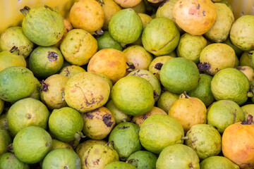 Grupo de frutas de guayaba esparcidas en un almacén agrícola