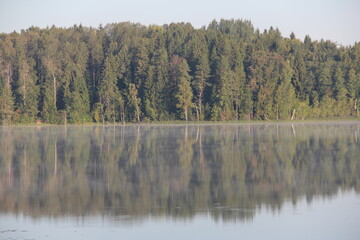 Fototapeta premium lake in the woods