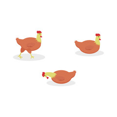 Cute set chicken. Set chicken, hen in various poses. vector illustration isolated on white background.