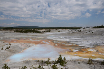 Norris Geyser Basin In Yellowstone National Park, Wyoming, USA