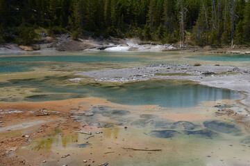 Norris Geyser Basin In Yellowstone National Park, Wyoming, USA