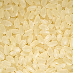 white rice background