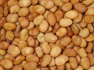 Pile of broad beans, background